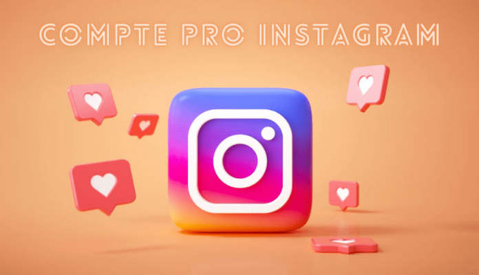 Compte Pro Instagram Maxime LB